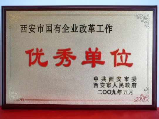 2009年5月，被西安市委、市政府評(píng)為西安市國企業(yè)改革工作優(yōu)秀單位