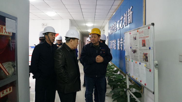 集團領(lǐng)導金輝帶隊赴標準電梯、標準熱處理進行工作調(diào)研